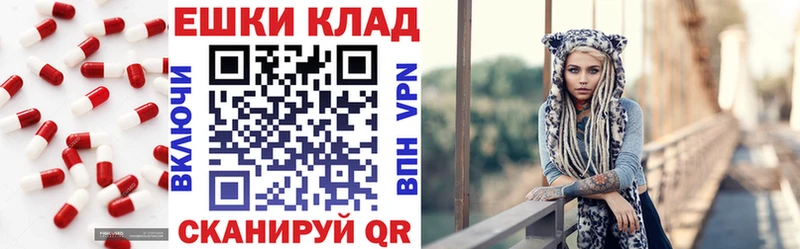 Купить закладки  Будённовск  ЭКСТАЗИ 250 мг 