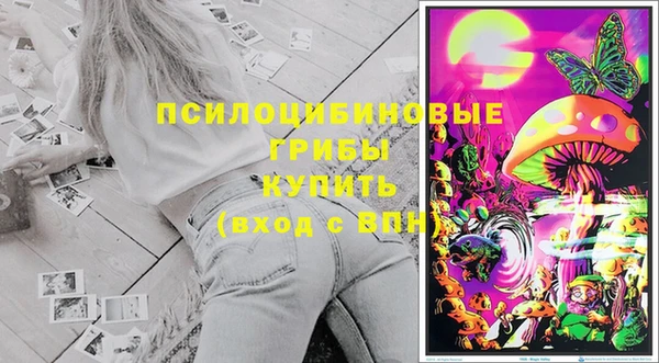 эйфоретик Богородск