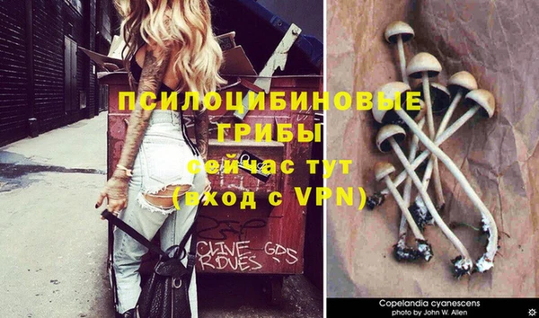прущий лед Богородицк